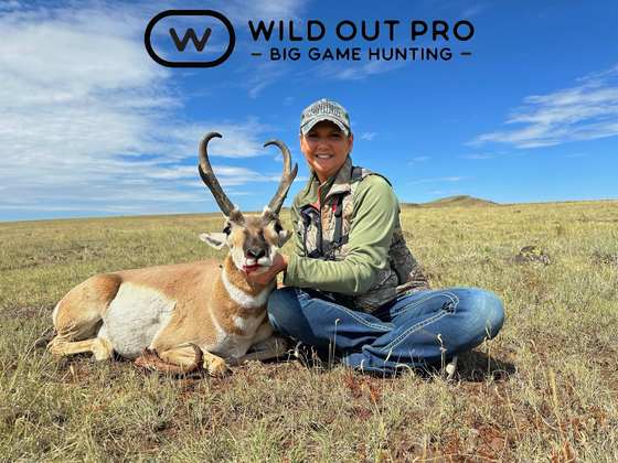 Pronghorn antelope taken on a guided New Mexico hunt with Wild Out Pro
