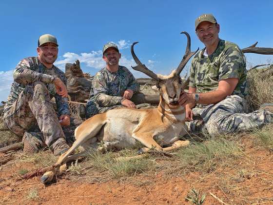 Pronghorn antelope taken on a guided New Mexico hunt with Wild Out Pro