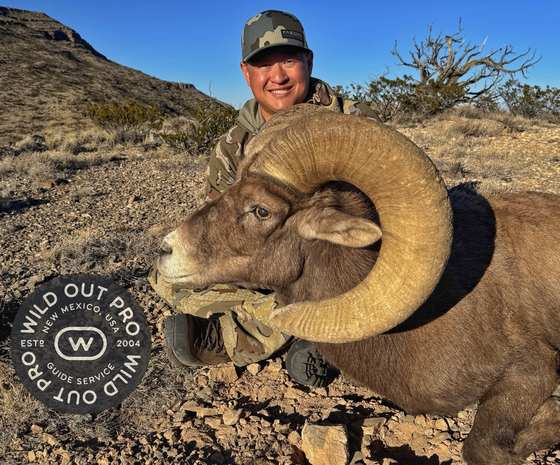 Bighorn sheep, Persian ibex, barbary sheep and oryx taken on guided New Mexico hunts
