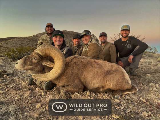 Bighorn sheep, Persian ibex, barbary sheep and oryx taken on guided New Mexico hunts