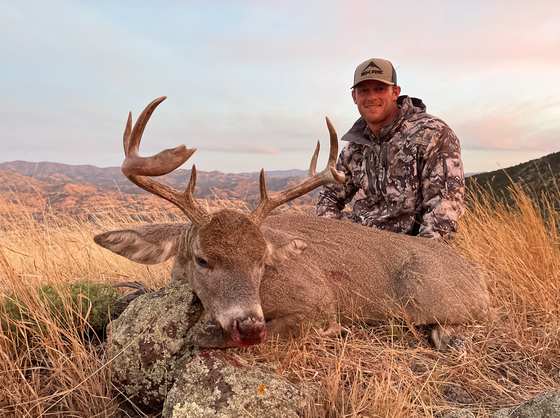 Mule deer and coues deer taken on guided New Mexico hunts with Wild Out Pro