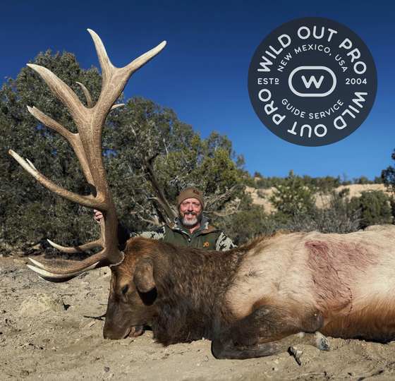 Bull elk taken on a guided hunt with Wild Out Pro Guide Service in New Mexico