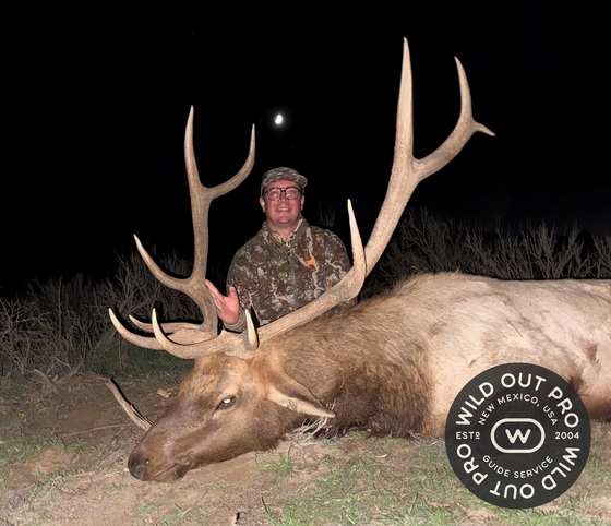 Bull elk taken on a guided hunt with Wild Out Pro Guide Service in New Mexico