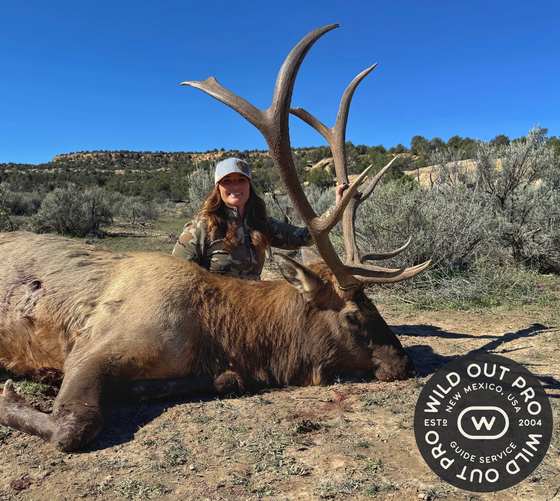 Bull elk taken on a guided hunt with Wild Out Pro Guide Service in New Mexico