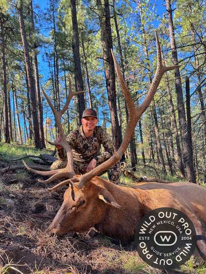 Bull elk taken on a guided hunt with Wild Out Pro Guide Service in New Mexico