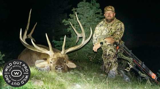Bull elk taken on a guided hunt with Wild Out Pro Guide Service in New Mexico