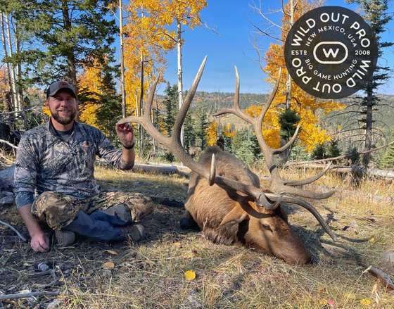 Bull elk taken on a guided hunt with Wild Out Pro Guide Service in New Mexico