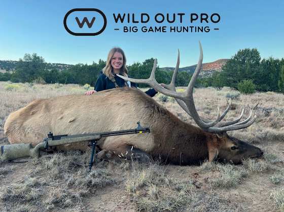 Bull elk taken on a guided hunt with Wild Out Pro Guide Service in New Mexico