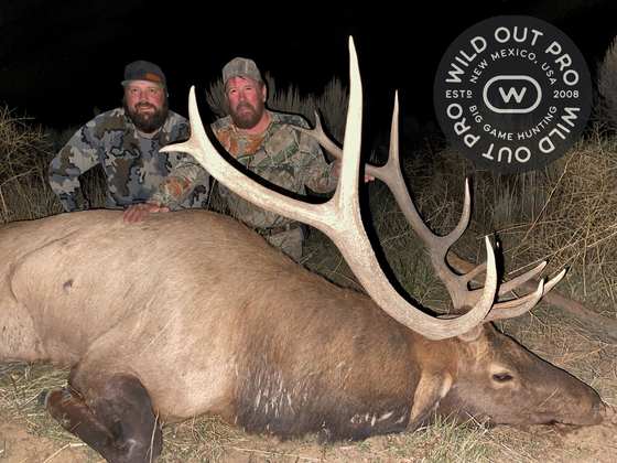 Bull elk taken on a guided hunt with Wild Out Pro Guide Service in New Mexico