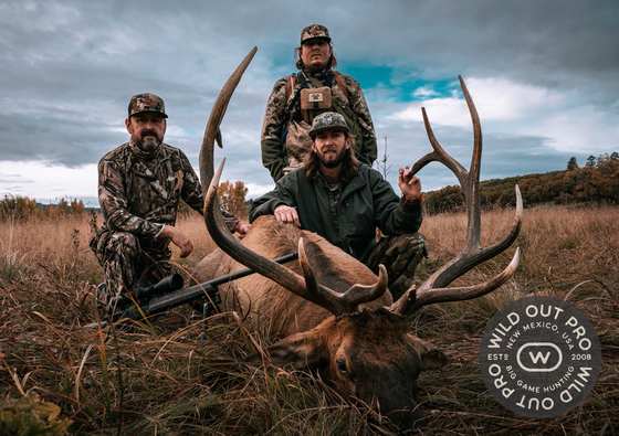 Bull elk taken on a guided hunt with Wild Out Pro Guide Service in New Mexico