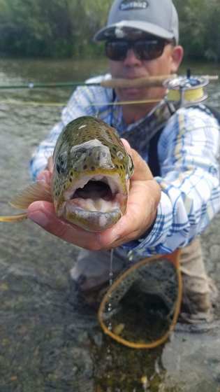 Guides and camp life with Wild Out Pro Guide Service in New Mexico