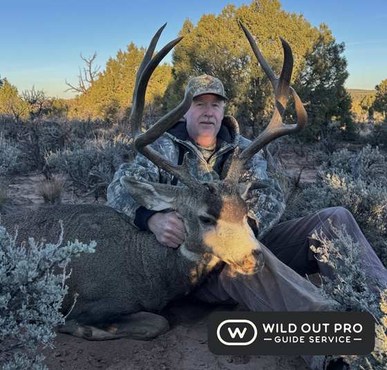 Mule deer and coues deer taken on guided New Mexico hunts with Wild Out Pro