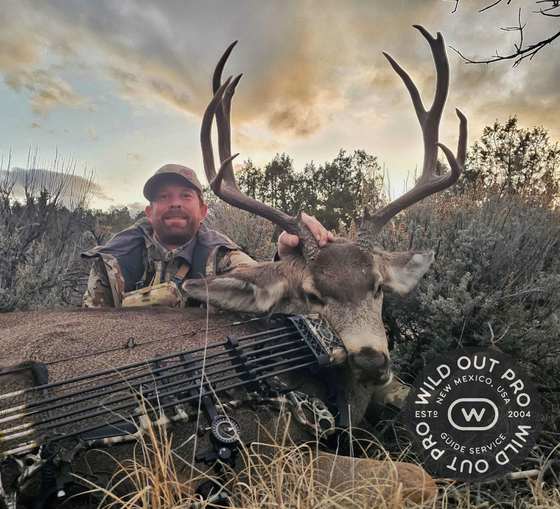 Mule deer and coues deer taken on guided New Mexico hunts with Wild Out Pro