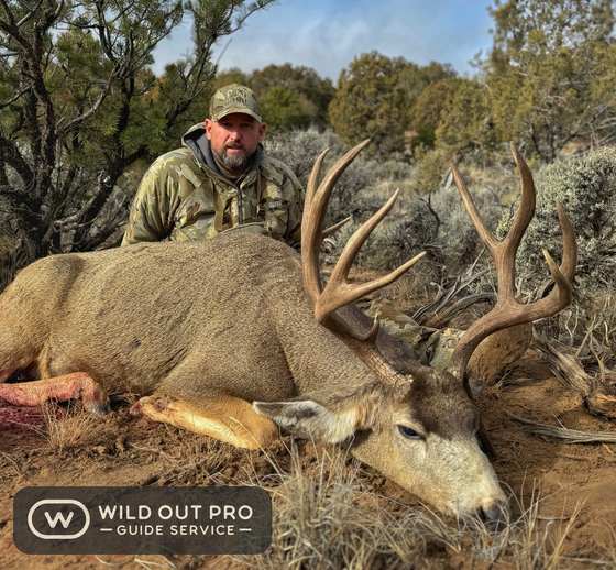 Mule deer and coues deer taken on guided New Mexico hunts with Wild Out Pro