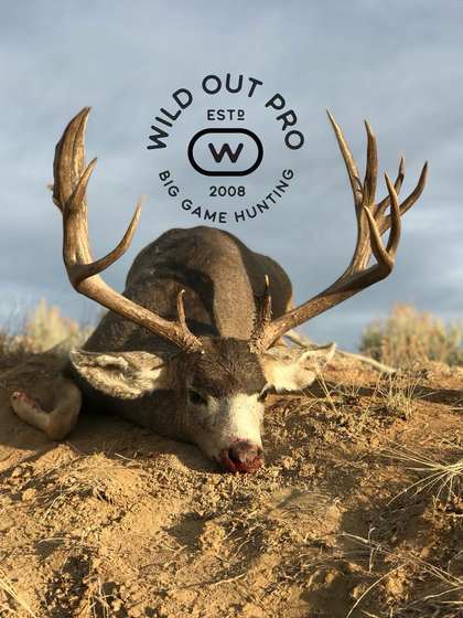 Mule deer and coues deer taken on guided New Mexico hunts with Wild Out Pro