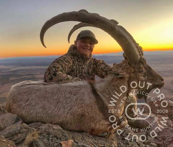 Bighorn sheep, Persian ibex, barbary sheep and oryx taken on guided New Mexico hunts