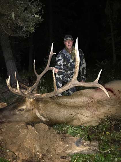 Bull elk taken on a guided hunt with Wild Out Pro Guide Service in New Mexico