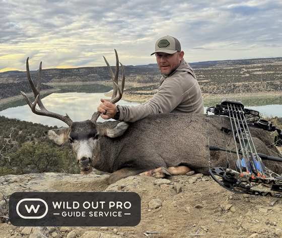 Mule deer and coues deer taken on guided New Mexico hunts with Wild Out Pro