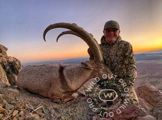 Bighorn sheep, Persian ibex, barbary sheep and oryx taken on guided New Mexico hunts