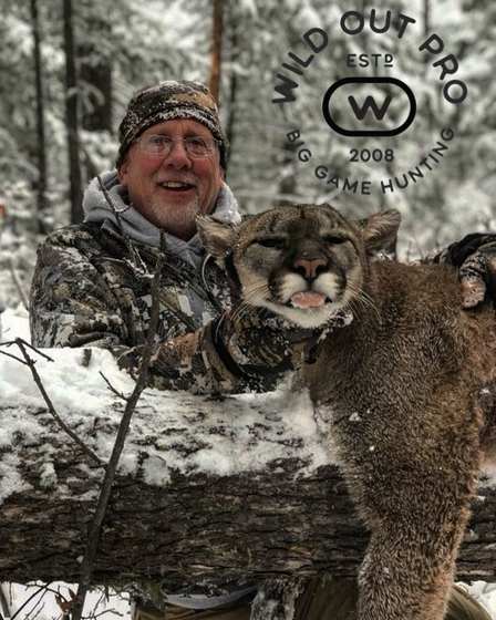 Black bear and mountain lion taken behind hounds in New Mexico with Wild Out Pro