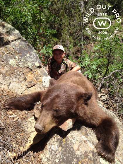 Black bear and mountain lion taken behind hounds in New Mexico with Wild Out Pro