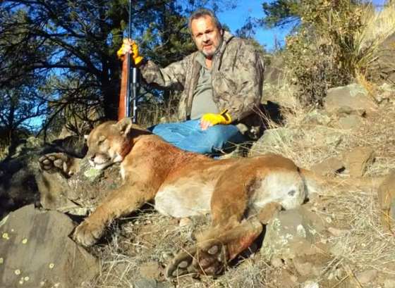 Black bear and mountain lion taken behind hounds in New Mexico with Wild Out Pro