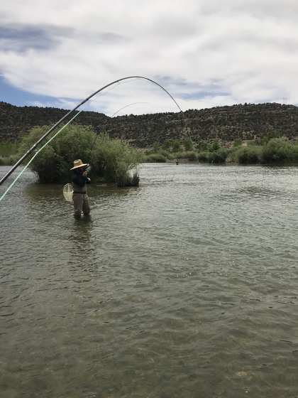 Fly fishing the San Juan River with Wild Out Pro Guide Service