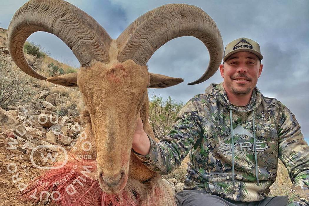 Barbary Sheep hunting in New Mexico with Wild Out Pro Guide Service