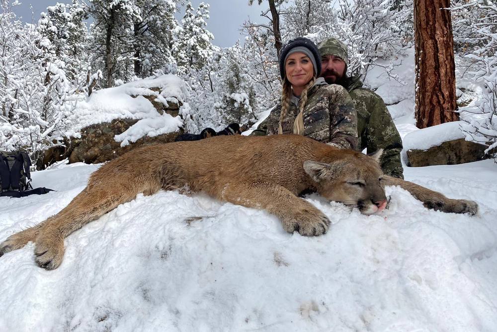 Mountain Lion hunting in New Mexico with Wild Out Pro Guide Service