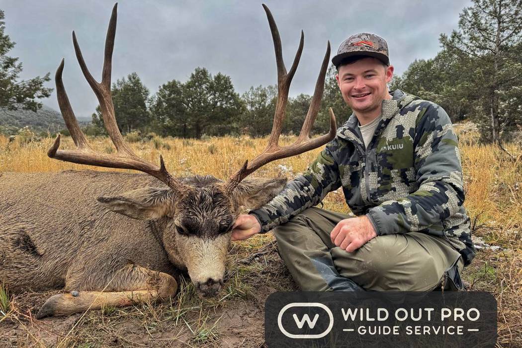 Mule Deer hunting in New Mexico with Wild Out Pro Guide Service